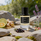 YSL Y BY AUREVE